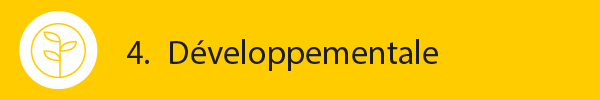 4. Développementale
